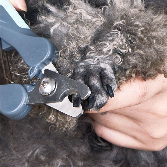 🎯 SALE 🎯 T9 Heavy Duty Pet Nail Clipper - Picture 4 of 13